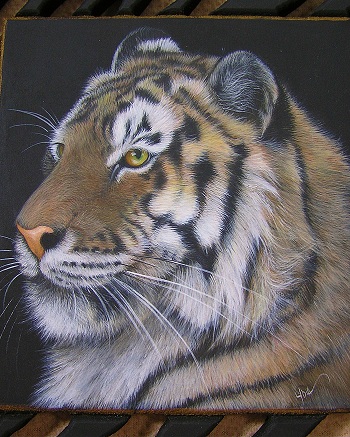 Majestic Acrylic e-Packet